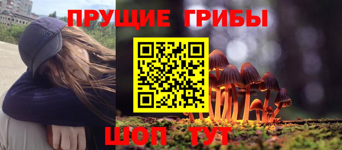 Галлюциногенные грибы мухоморы  где найти наркотики  Алушта  Галлюциногенные грибы мухоморы  Вход с VPN 